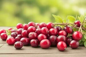 Cranberry. background. AI Generative Pro Photo