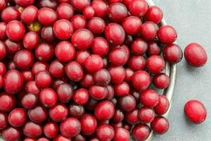 Cranberry. background. AI Generative Pro Photo