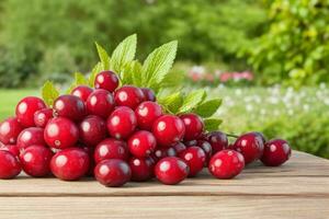 Cranberry. background. AI Generative Pro Photo