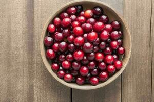 Cranberry. background. AI Generative Pro Photo