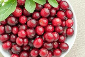 Cranberry. background. AI Generative Pro Photo