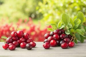 Cranberry. background. AI Generative Pro Photo