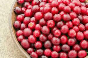 Cranberry. background. AI Generative Pro Photo