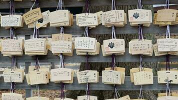 ema tablero a meiji jingu santuario en tokio, Japón . video