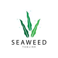 Seaweed Logo Design, Underwater Plant Design Illustrations, Cosmetics and Food Ingredient vector