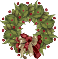 Navidad guirnalda ilustración en transparente antecedentes. png