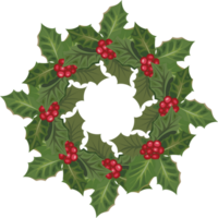 Navidad guirnalda ilustración en transparente antecedentes. png