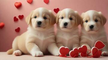 Cute puppies playing against valentine's day ambience background with space for text, background image, AI generated photo