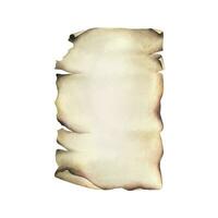 Parchment brown sheet of paper with old torn and curled edges. Hand drawn watercolor illustration. Isolated object on a white background. vector