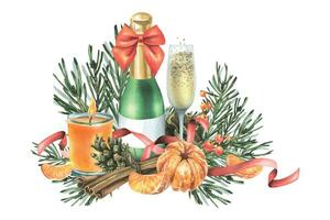Mandarina con Navidad árbol sucursales, un botella, vaso de champán, pino conos y especias mano dibujado acuarela ilustración. aislado composición en un blanco antecedentes para nuevo año y Navidad vector