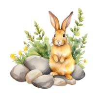 A painting of the Yellow Rattle plant. Ai-Generated. png