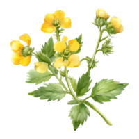 A painting of the Yellow Rattle plant. Ai-Generated. png