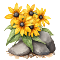 A painting of the Black-Eyed Susan plant. Ai-Generated png