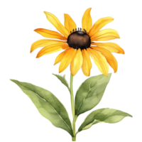 A painting of the Black-Eyed Susan plant. Ai-Generated png