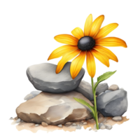 A painting of the Black-Eyed Susan plant. Ai-Generated png