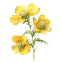 A painting of the Yellow Rattle plant. Ai-Generated. png