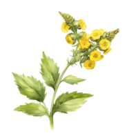 A painting of the Yellow Rattle plant. Ai-Generated. png