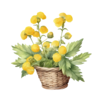 A painting of the Yellow Rattle plant. Ai-Generated. png