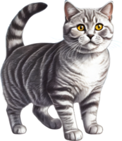 A sketch of a British Shorthair cat. AI-Generated. png