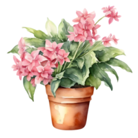 A painting of the Cheddar Pink plant. Ai-Generated. png