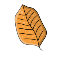 Yellow Leaf Illustration png