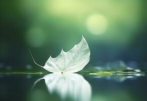 White transparent leaf on mirror surface with reflection on green background macro. Generative AI photo