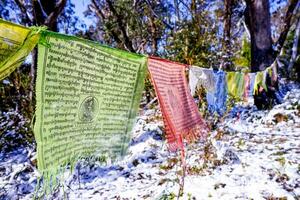 Tibetan prayer flags photo