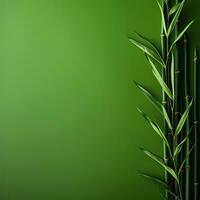 Simple green background, empty space photo