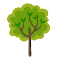 estate verde albero icona impostato piatto disegno, albero illustrazione png