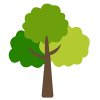 verano verde árbol icono conjunto plano diseño, árbol ilustración png