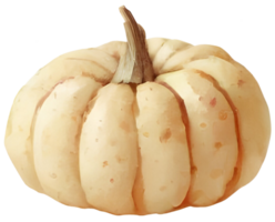 Pumpkins in autumn. png