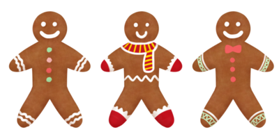 Gingerbread collection - Christmas cookies for holiday celebration png