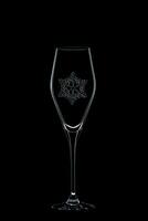 Backlit wine champagne glass with snowflake photo