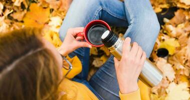 The girl pours hot coffee from a thermos into a cup in the autumn forest. An autumn picnic in the park or in the forest. Top view. photo