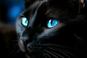 cautivador negro gato azul ojos. generar ai foto