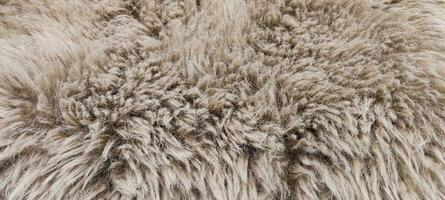 furr fabric texture and background photo