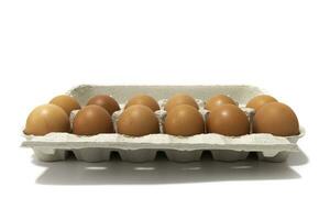 An egg carton container, with a dozen brown eggs. Isolated on a white background. Eco products concept. photo