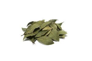 Bay leaves, isolated on a white background. Seasoning concept. photo