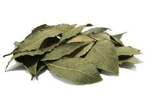 Bay leaves, isolated on a white background. Seasoning concept. photo