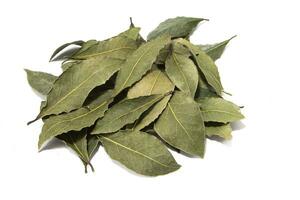 Bay leaves, isolated on a white background. Seasoning concept. photo