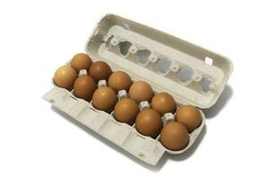 An egg carton container, with a dozen brown eggs. Isolated on a white background. Eco products concept. photo