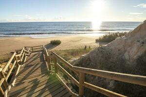 One of the most beautiful beaches in Spain, called Cuesta Maneli, Huelva, in Spain.  Surrounded by dunes, vegetation and cliffs.  A gorgeous beach. photo