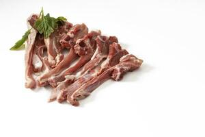 Raw lamb ribs, isolated on a white background.Delicious lamb rib, succulent and tender. Carnivorous pleasure in every bite. An irresistible delicacy that awakens the senses. photo