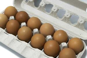 An egg carton container, with a dozen brown eggs. Isolated on a white background. Eco products concept. photo