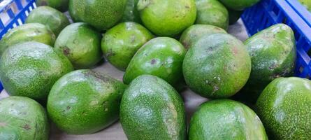 aguacate además se refiere a el aguacate árboles fruta, cuales es botánicamente un grande baya conteniendo un soltero semilla. aguacates son muy nutritivo y Contiene un amplio variedad de nutrientes foto