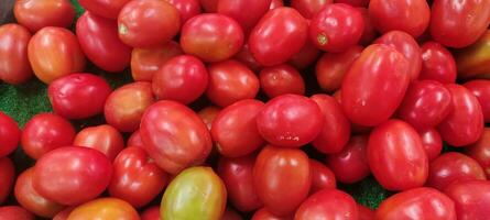 tomato background and texture fresh from market photo