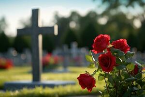 Red roses on a grave at a cemetery during the sunset with copy space AI generated photo