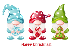 Three Christmas gnomes png