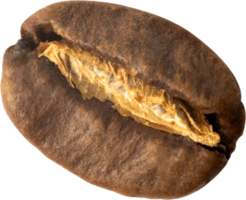 isolated coffee bean cut out on transparent background. png