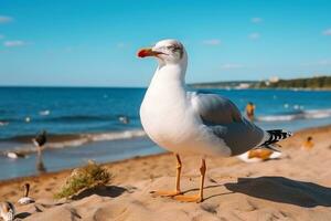A seagull close up in the blue sky at the beach.AI Generative photo